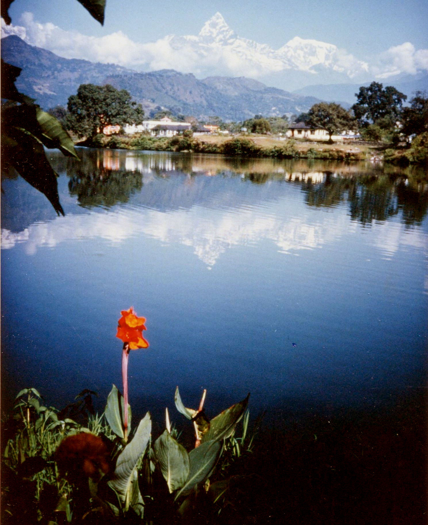 Mount Macchapucchre ( The Fishtail Mountain ) from Phewa Tal at Pokhara in Nepal