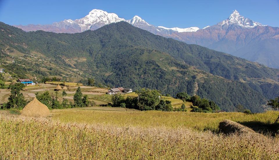 Annapurna South Peak, Hiunchuli and Mount Macchapucchre ( Fishtail Mountain )