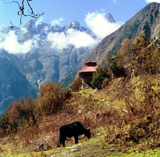 Ghunsa Khola Valley