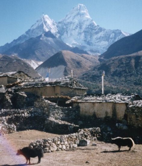 Pangboche Village and Ama Dablam