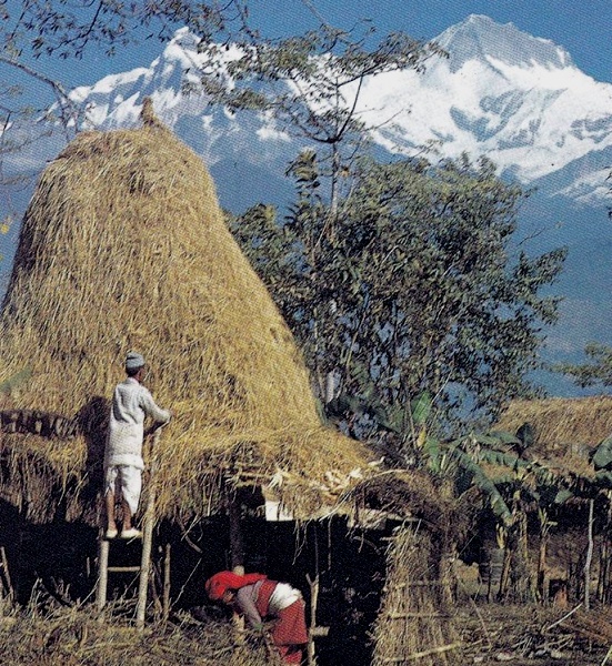 Annapurna Himal from Pokhara