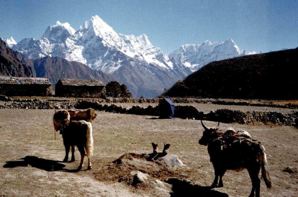 Mts.Kang Taiga and Thamserku from Thame