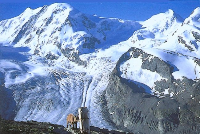 Lyskamm from Gornergrat