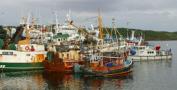 Killybegs_fishing_boats.jpg