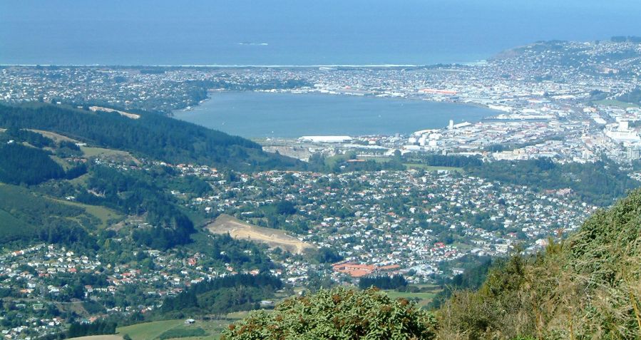 Dunedin from Mount Cargill