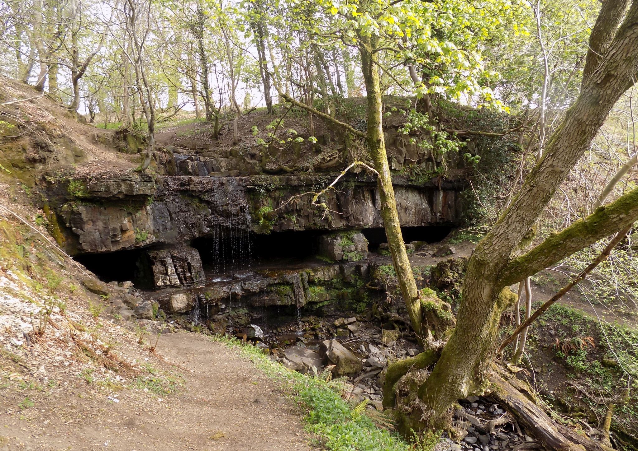 Blairskaith Linn on Branziet Burn in front of the Linn Caves