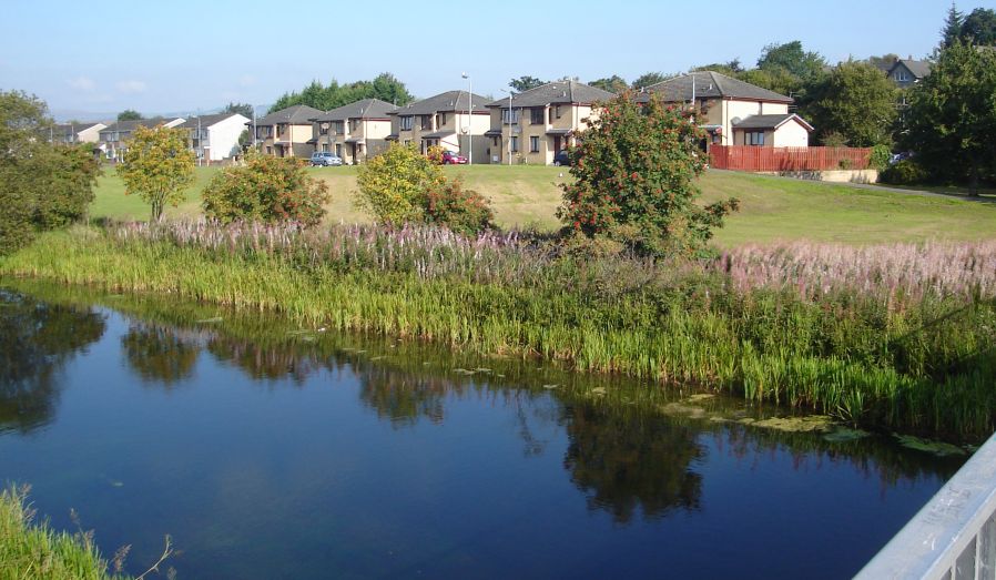 Westerton from Forth and Clyde Canal