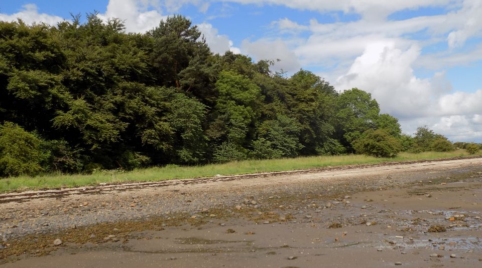 Shore of Firth of Forth