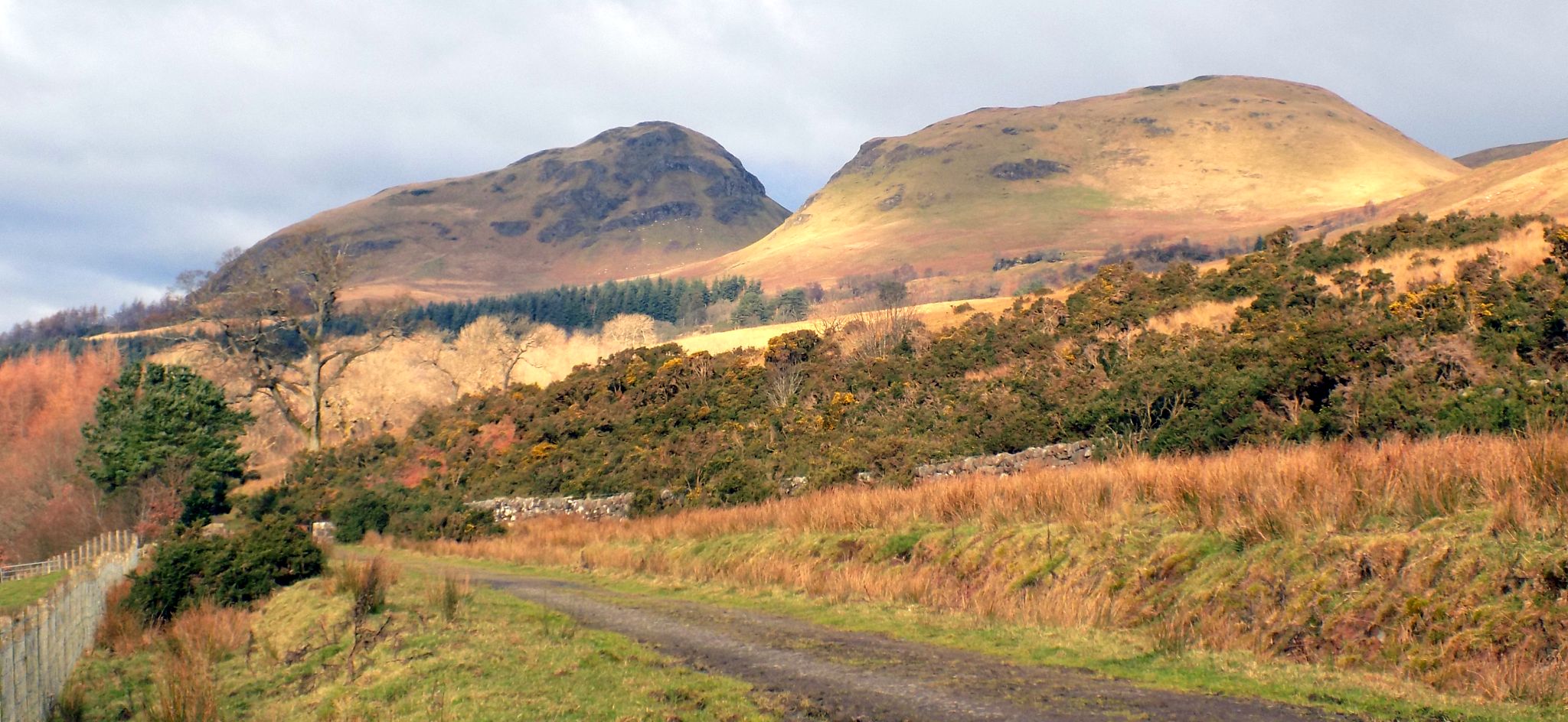 Dumgoyne and Dumfoyne in the Campsie Fells