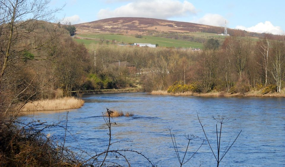 Bromley Muir from the River Leven