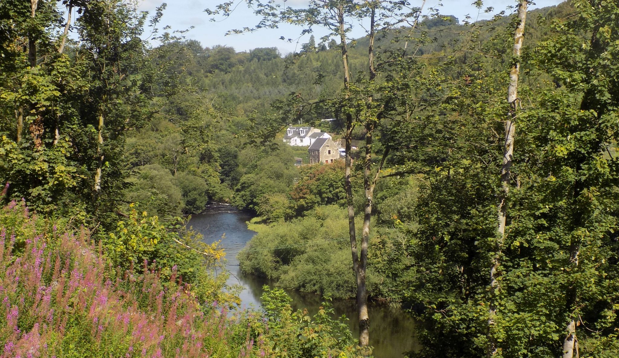 River Clyde from Braxfield Park