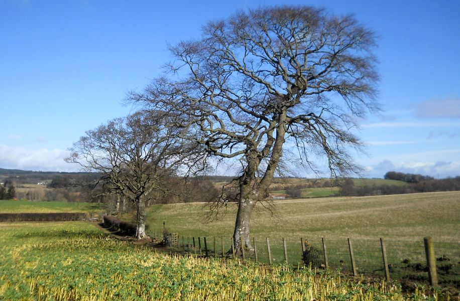 Public footpath to Pirniehall