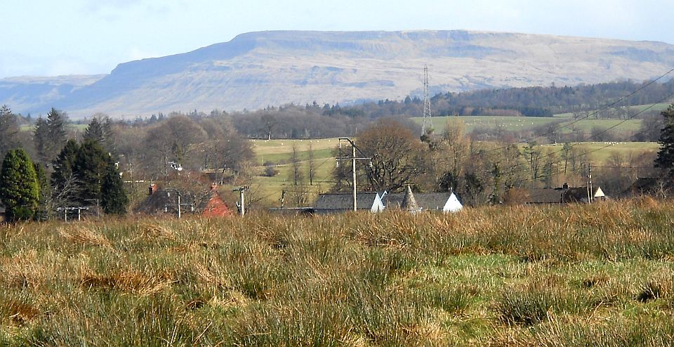 Fintry Hills beyond Croftamie