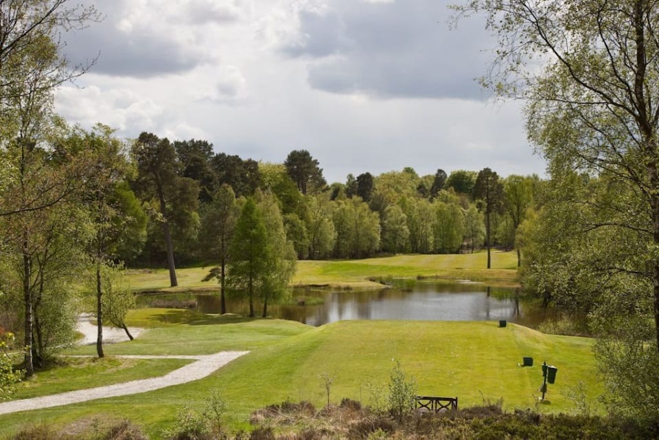 Pond on Dougalston Golf Course