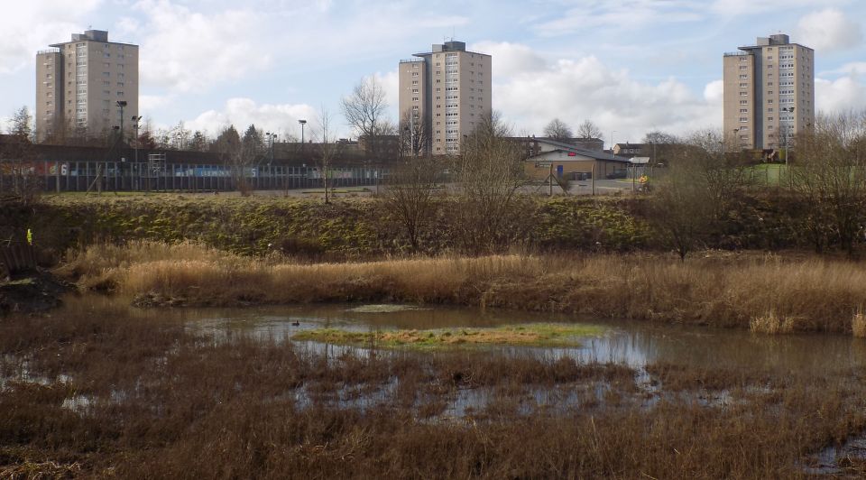 High Rise tenement buildings in Drumchapel from Cleddan Burn trail