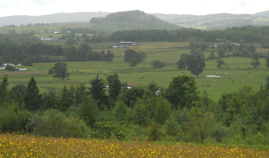 Duncryne ( "The Dumpling " ) from the viewpoint above Drymen