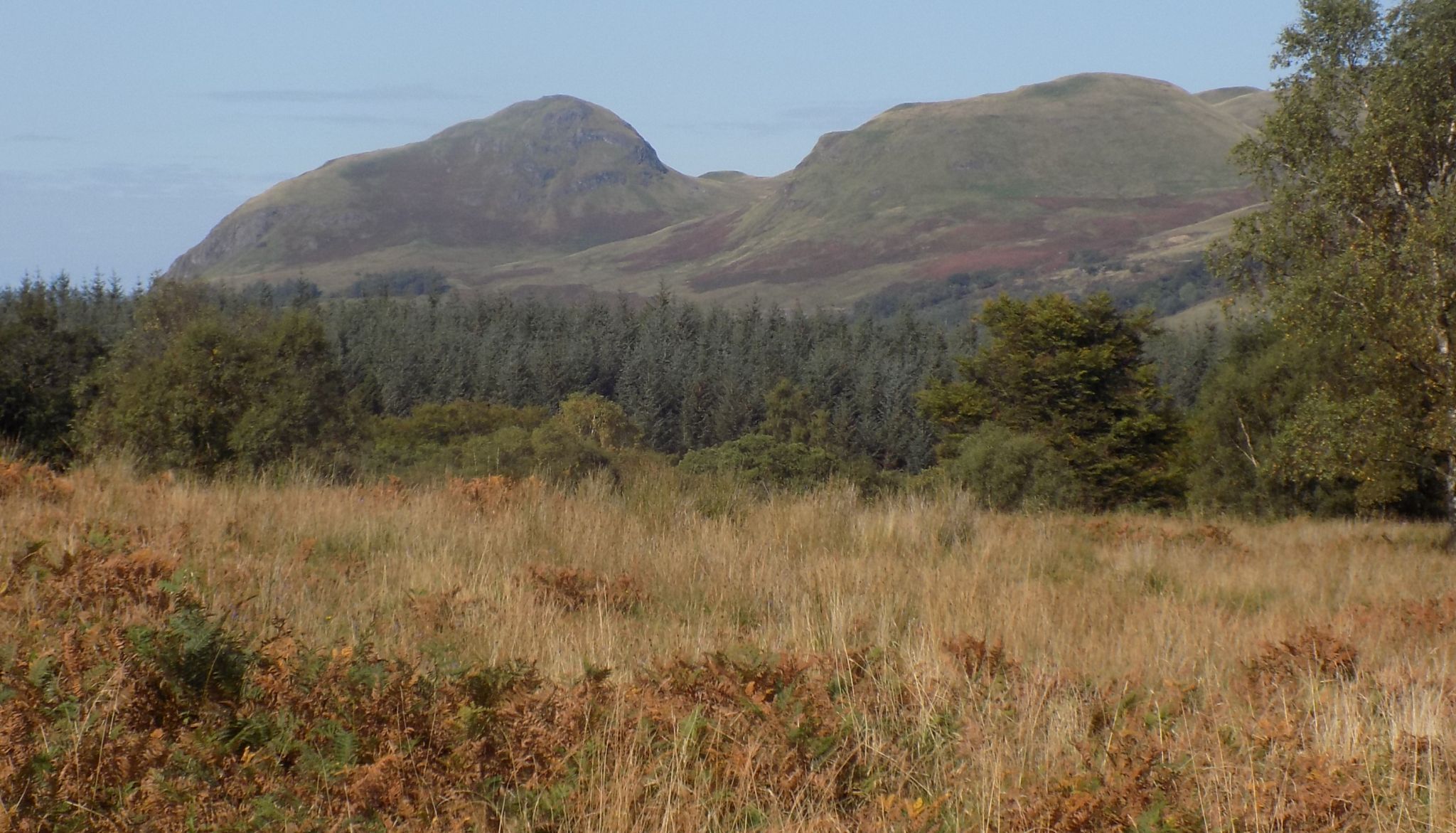 Dumgoyne and Dumfoyne in the Campsie Fells from Dumbrock Muir