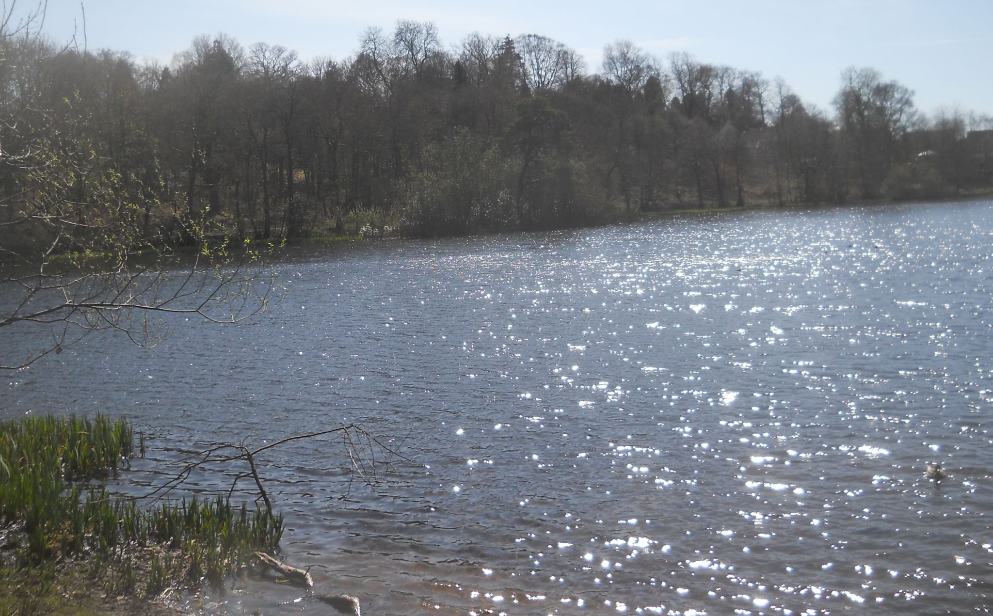 Kilmardinny Loch in Bearsden