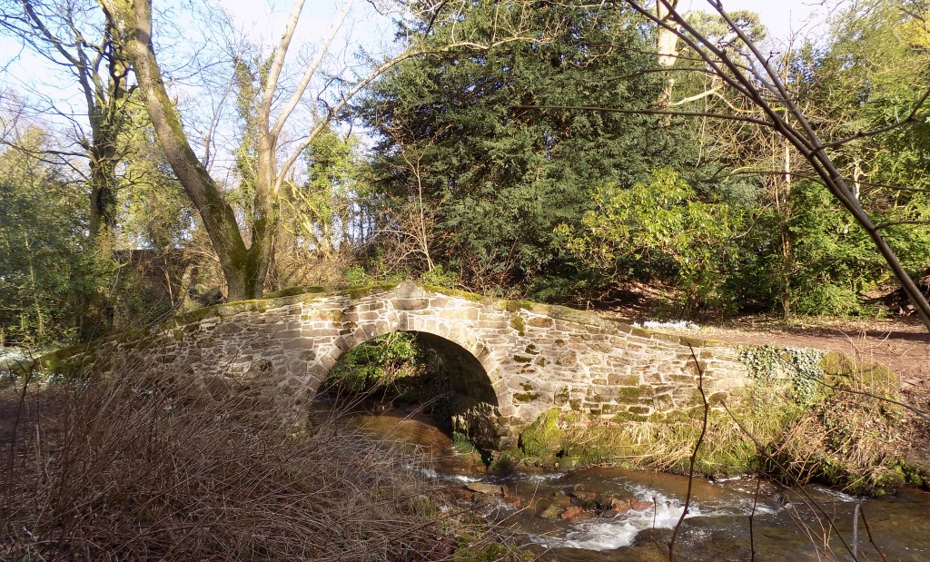 Bridge over Leckie Burn