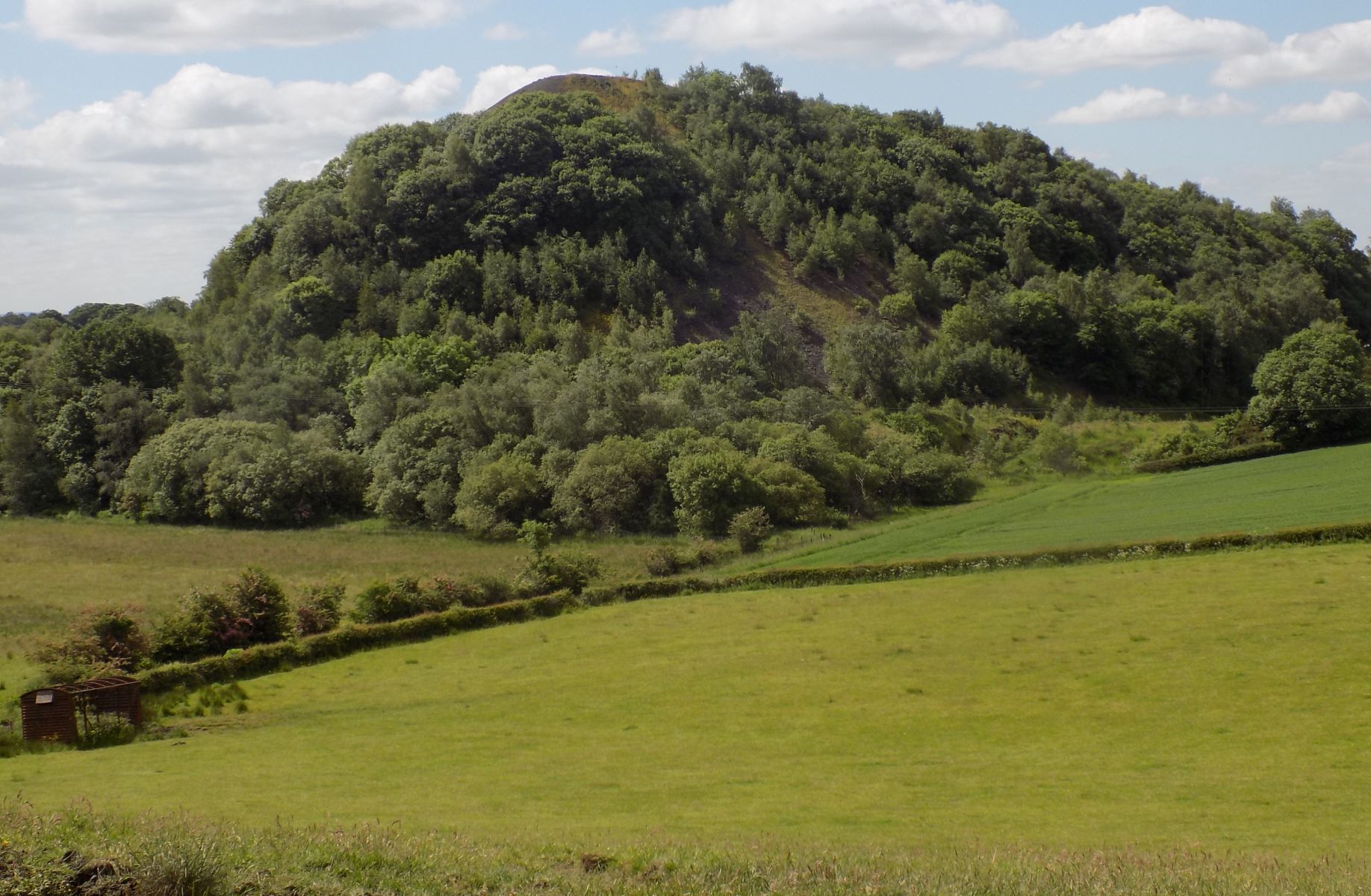 The Gartshore Bing at Kirkintilloch