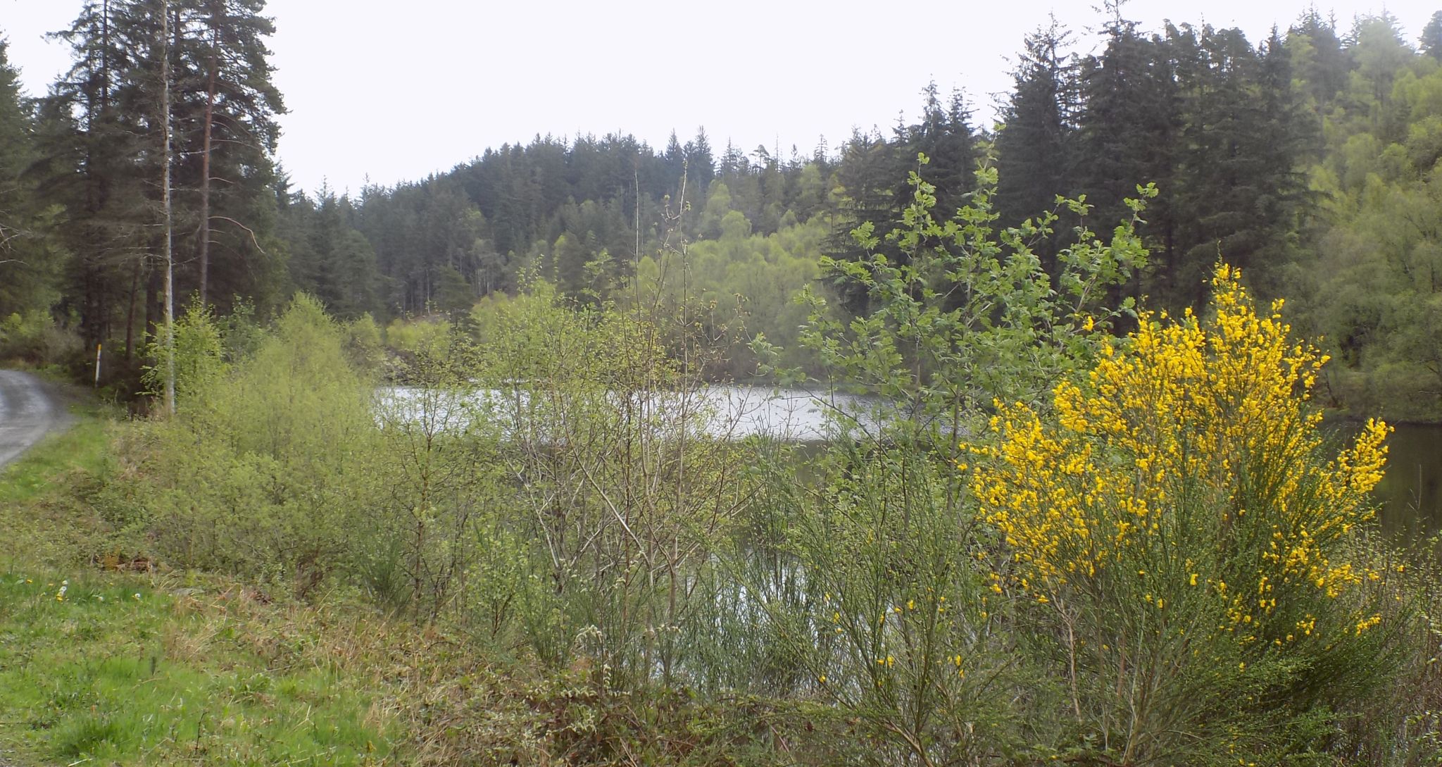 Lochan a' Ghleannain