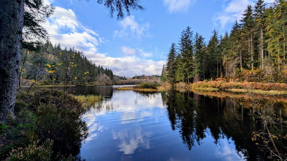 Lochan in Loch Ard Forest