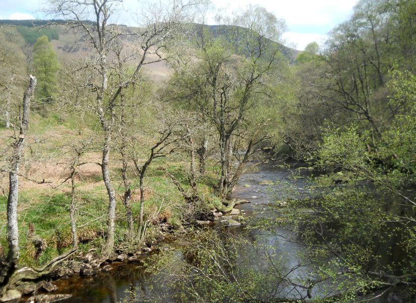 Duchray Water in Loch Ard Forest on the outskirts of Aberfoyle