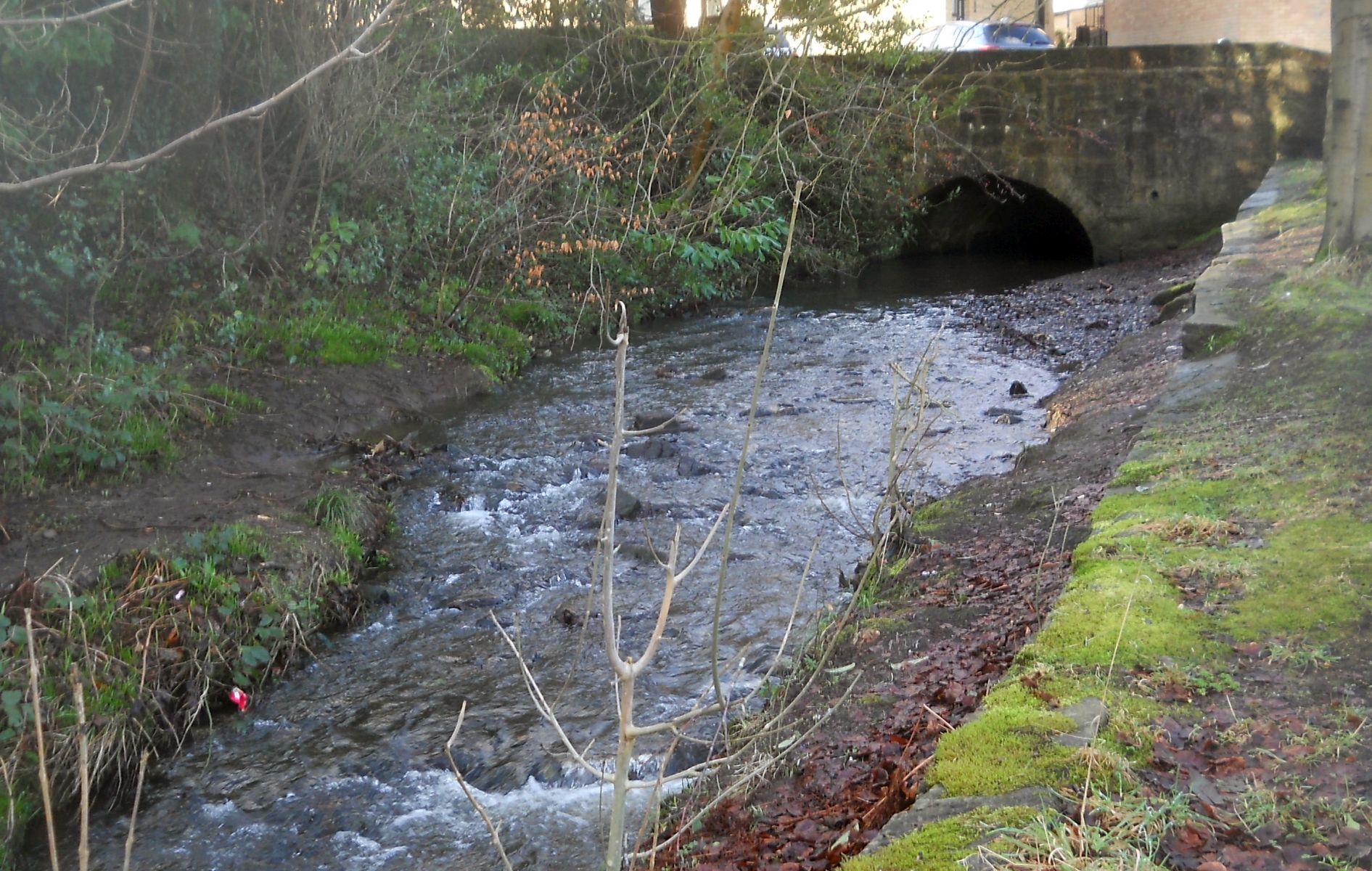 Manse Burn at Bearsden Cross