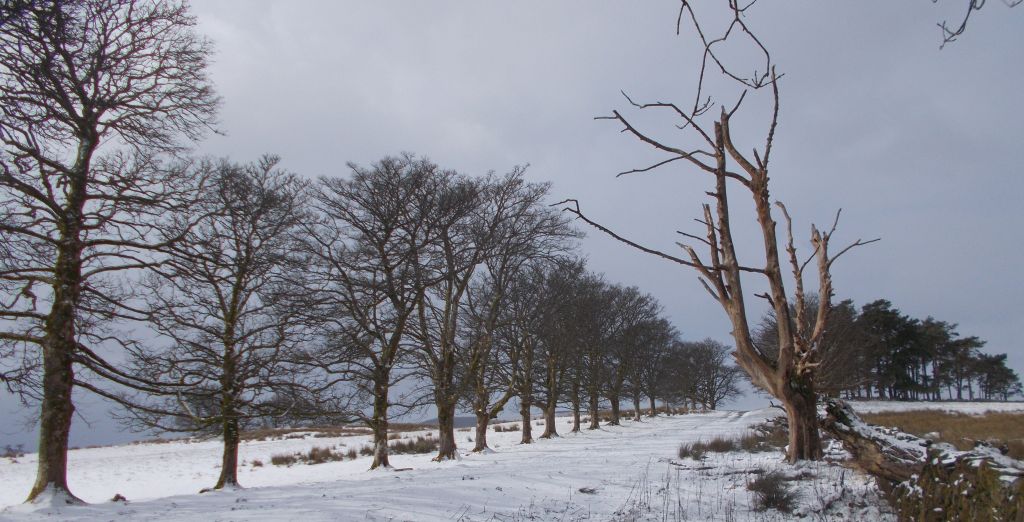 Mugdock Country Park