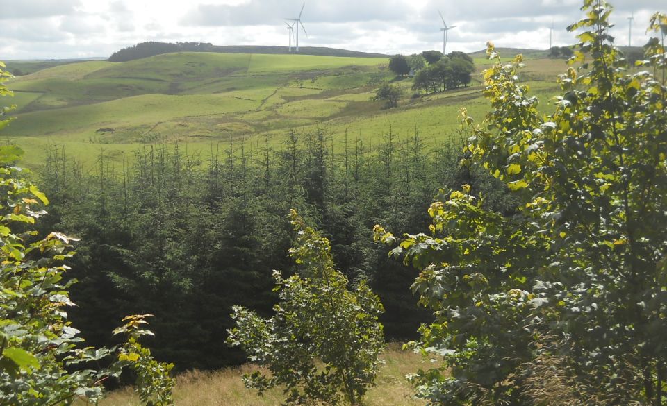 Drumler Craigs from Neilston Pad