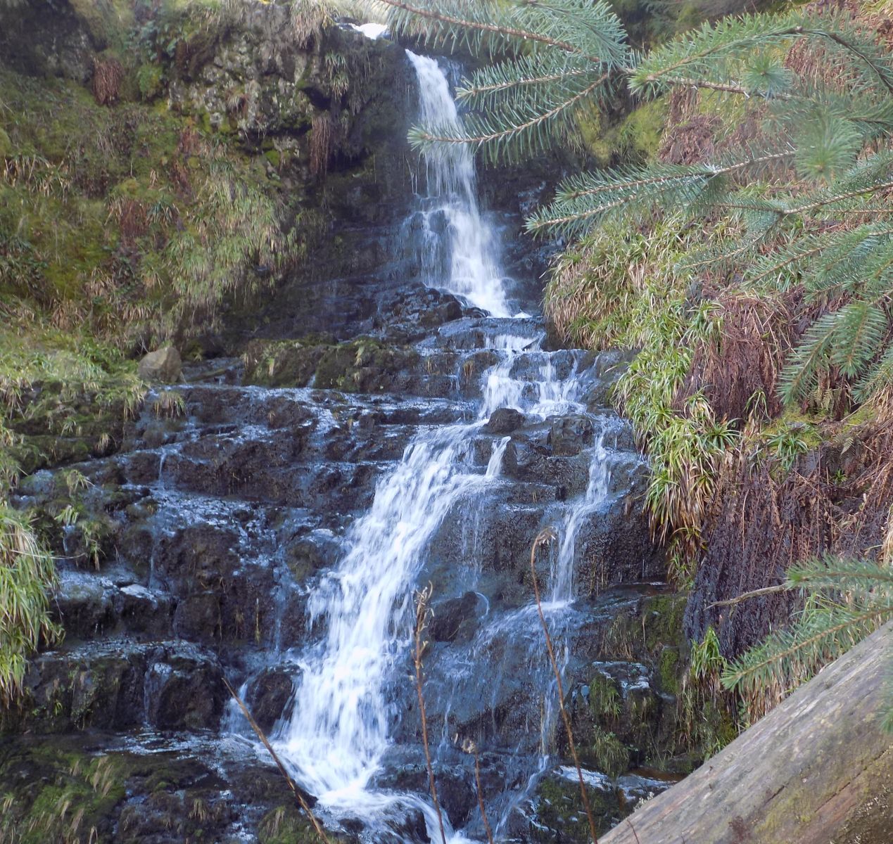 Waterfall on tributary of Bin Burn