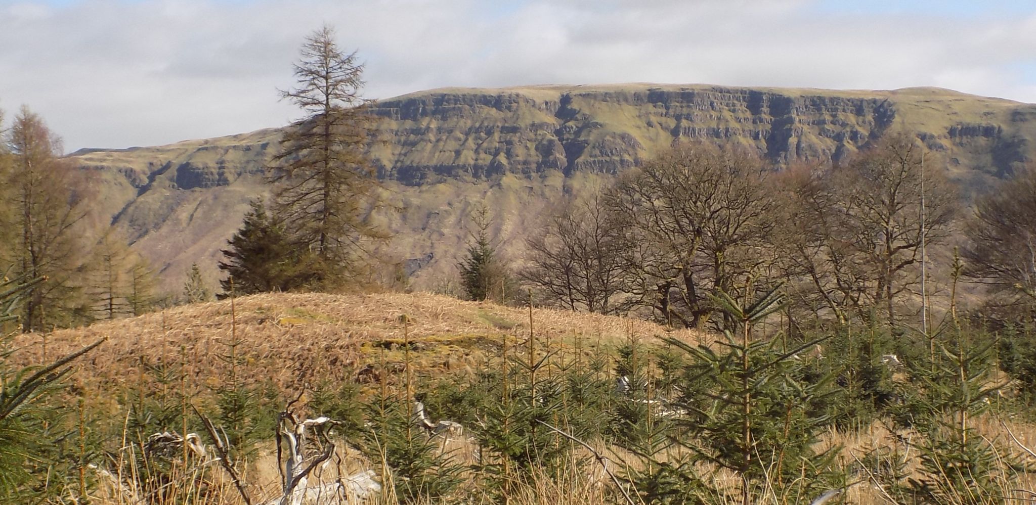 Escarpment of the Campsie Fells