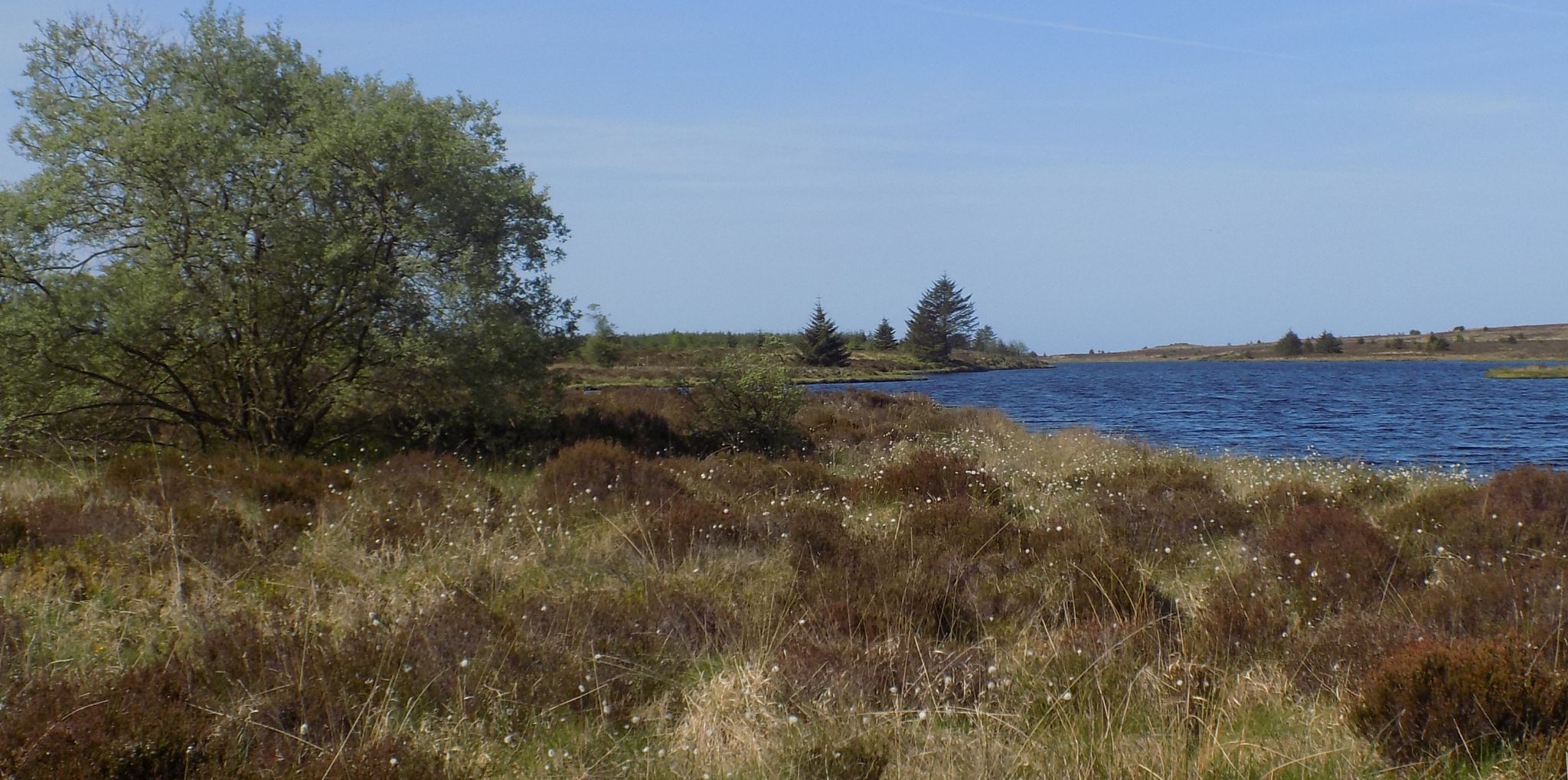 Muir Park Reservoir beside the Rob Roy Way