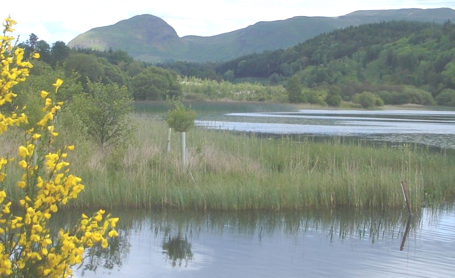 West Highland Way from Milngavie to Carbeth