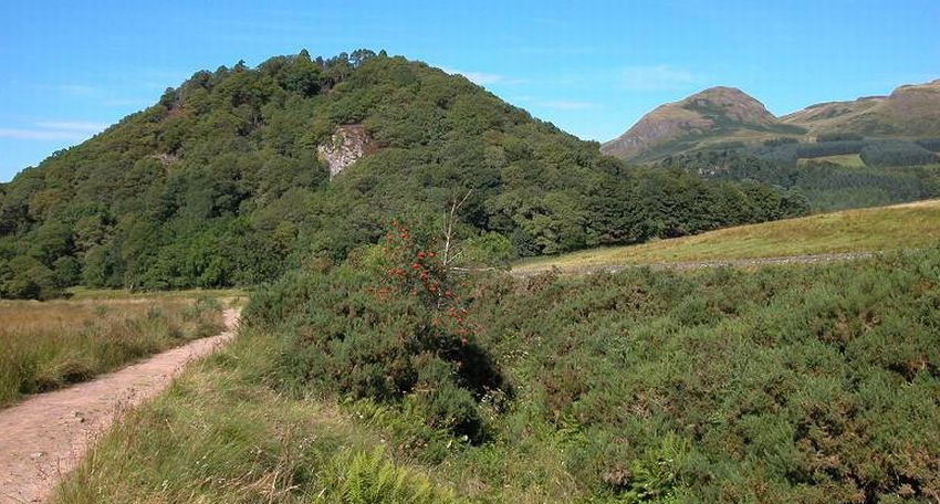 West Highland Way - Dumgoyach Hill on route from Carbeth to Glengoyne Distillery