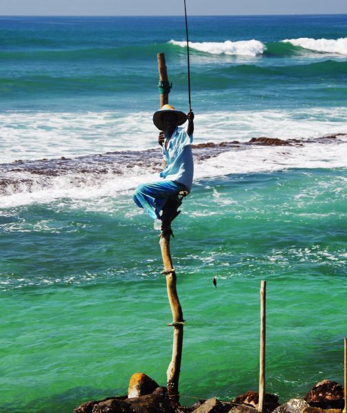 Stilt Fisherman at Hikkaduwa