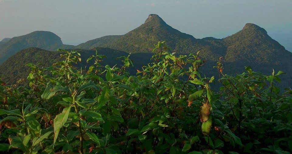 Adam's Peak in the Hill Country of Sri Lanka