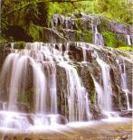 Purakaunui Falls in Southland of the South Island of New Zealand